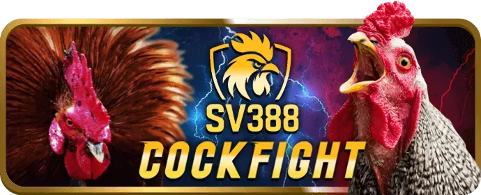 Cá cược có trách nhiệm mv888 casino